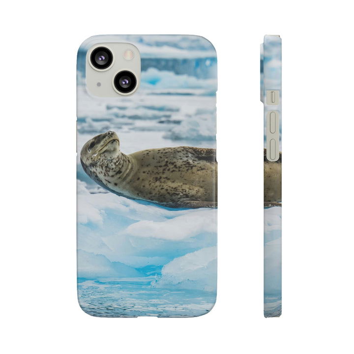 Leopard Seal Relaxing - Phone Case