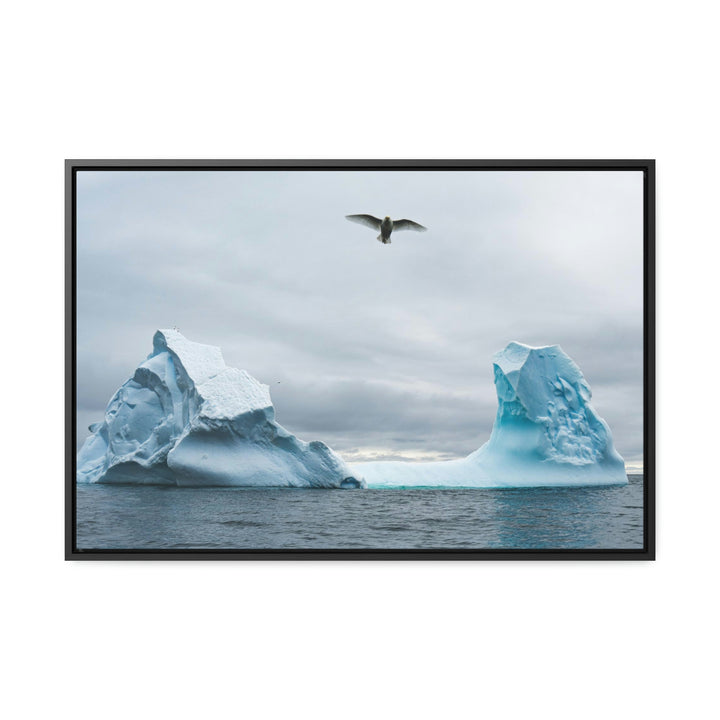 Antarctic Flight - Canvas with Frame