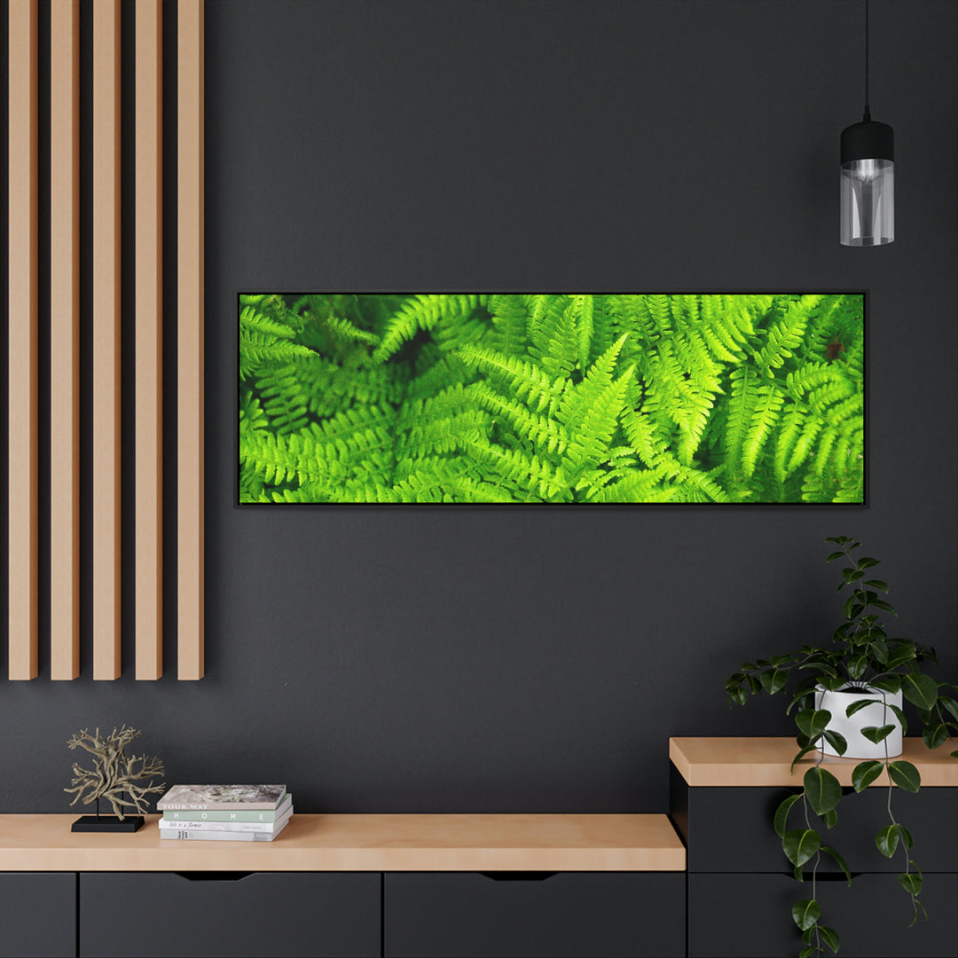 Ferns, Ferns, Ferns - Canvas with Frame