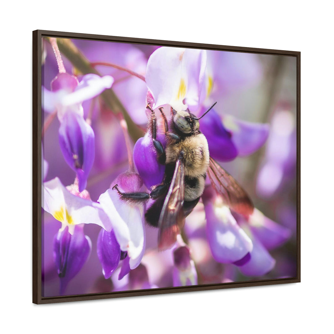 Hungry Visitor - Canvas with Frame