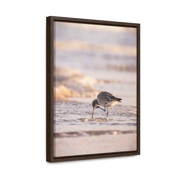 Willet Itch - Canvas with Frame