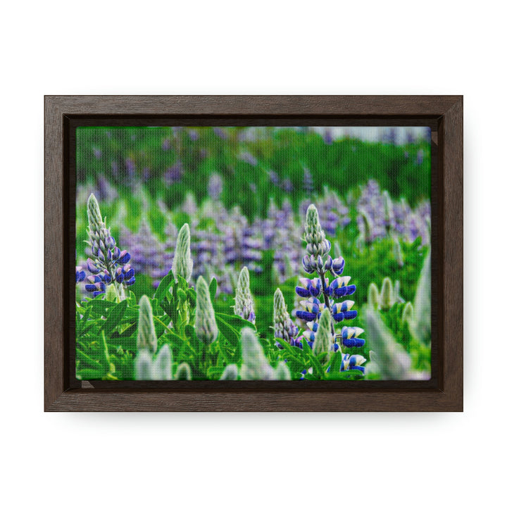 Glowing Lupin with Mountains - Canvas with Frame