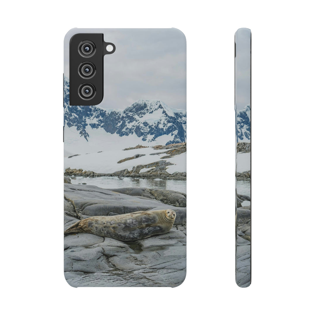 Weddell Relaxing - Phone Case