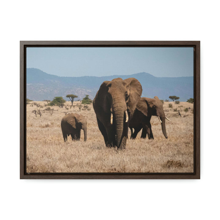 Family March - Canvas With Frame