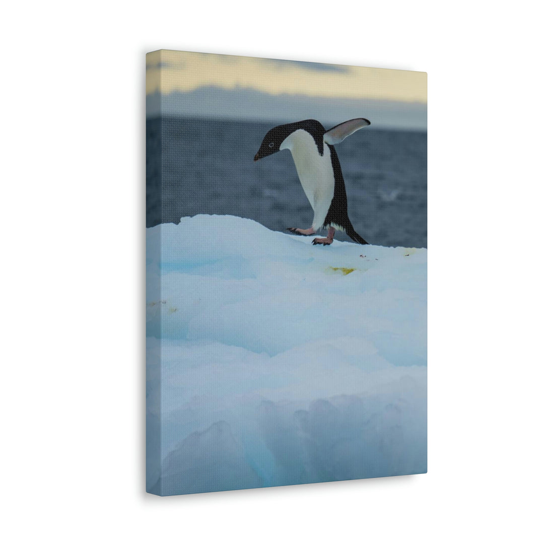 Penguin Dance - Canvas