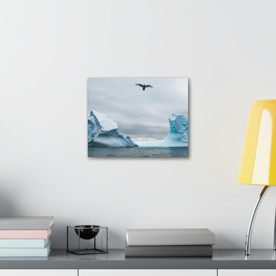 Antarctic Flight - Canvas