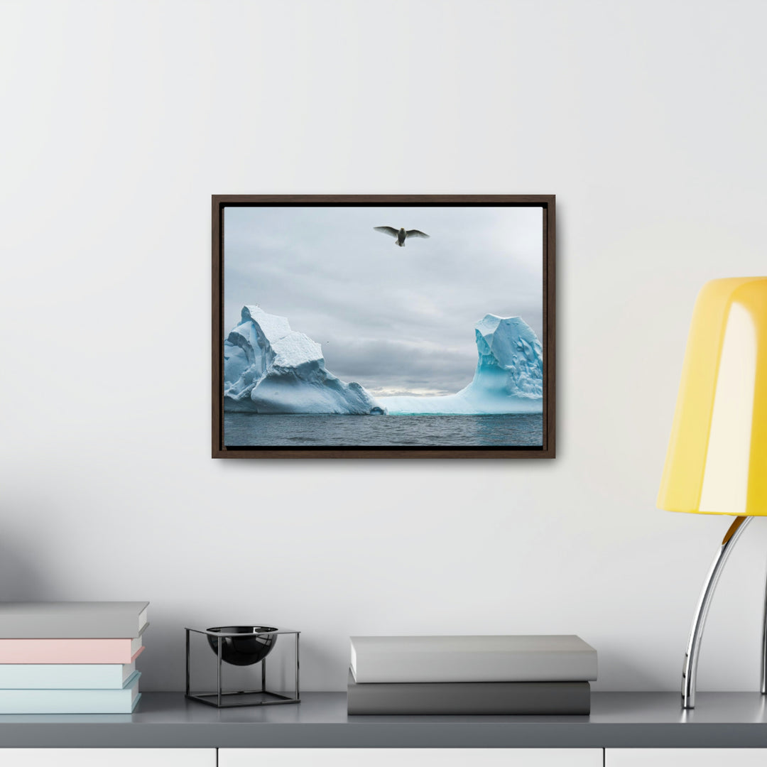 Antarctic Flight - Canvas with Frame