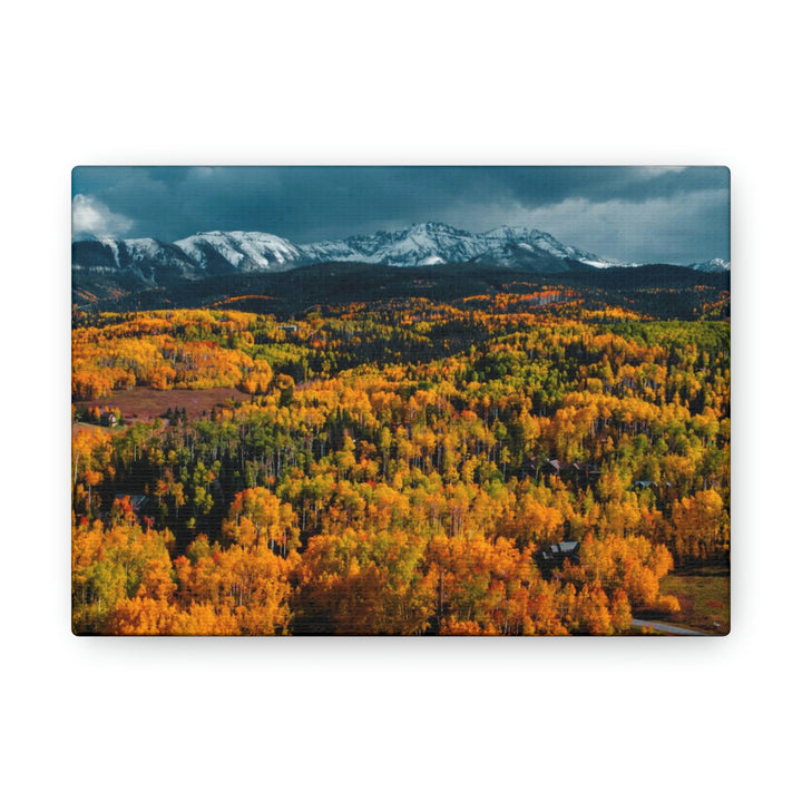 Golds of Autumn - Canvas