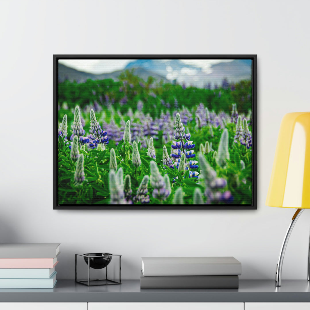 Glowing Lupin with Mountains - Canvas with Frame