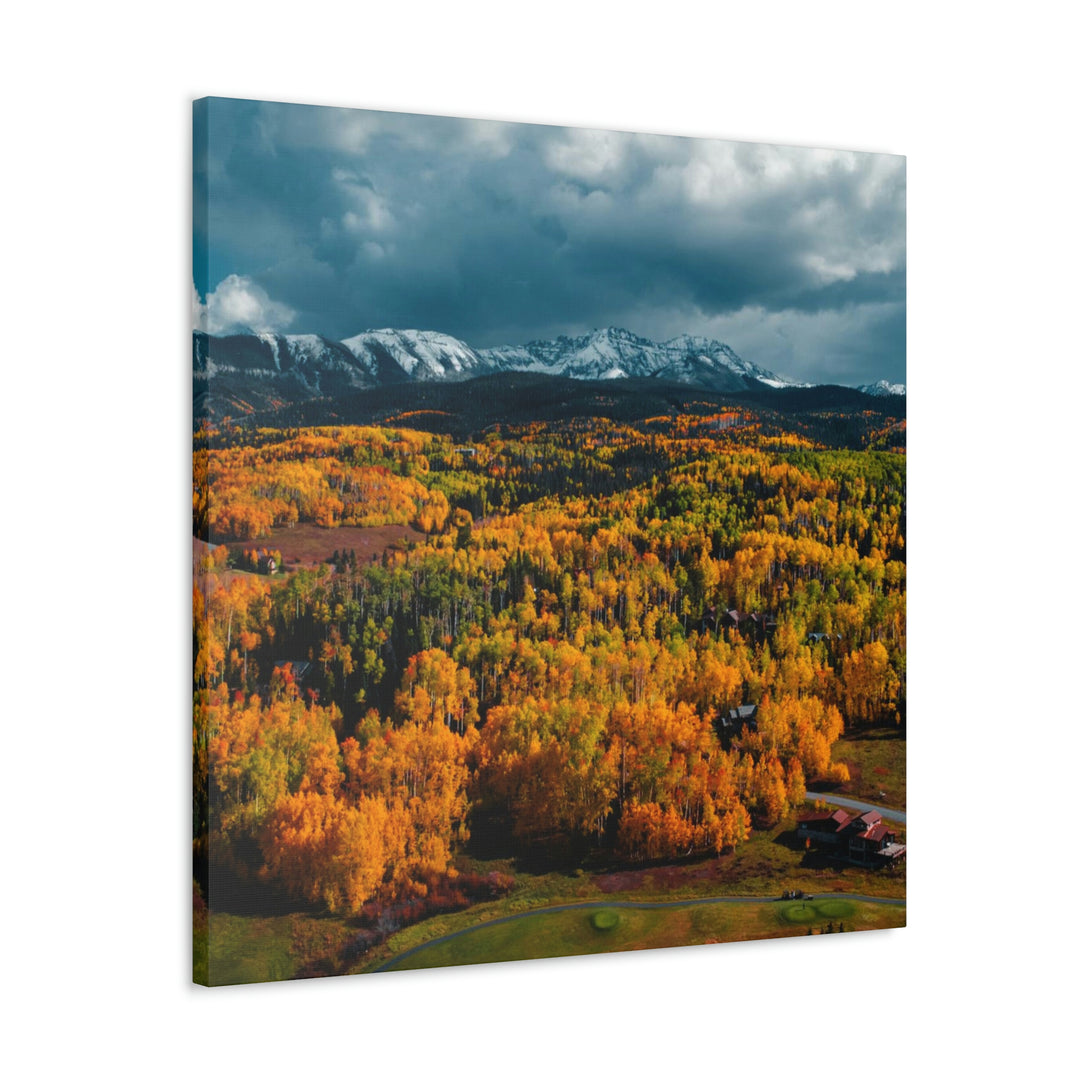 Golds of Autumn - Canvas