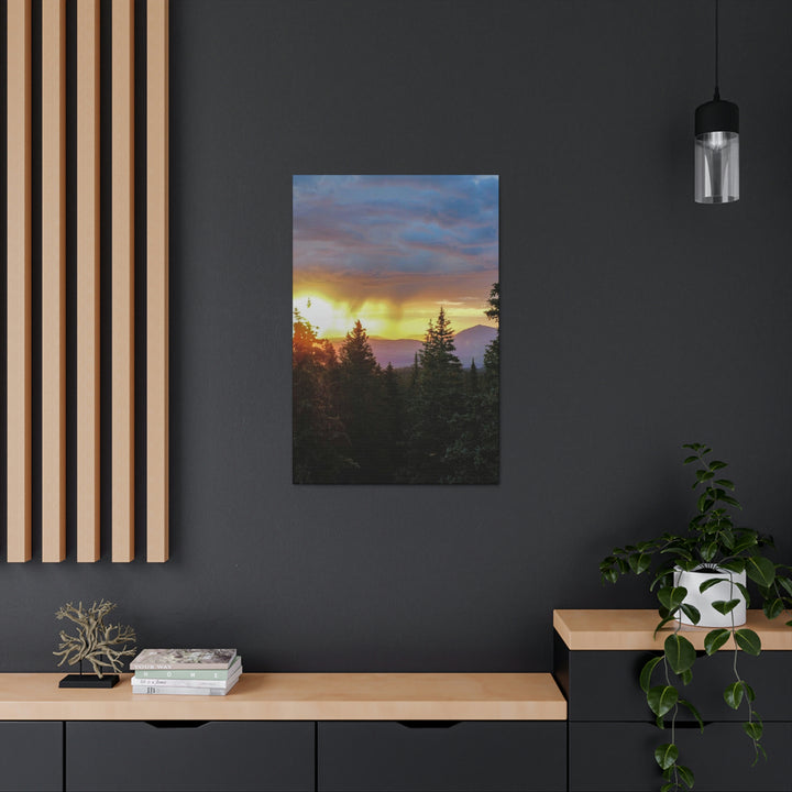 Rainy Sunset Through the Trees - Canvas