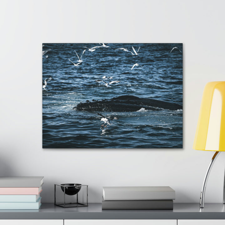 Humpback Hello - Canvas