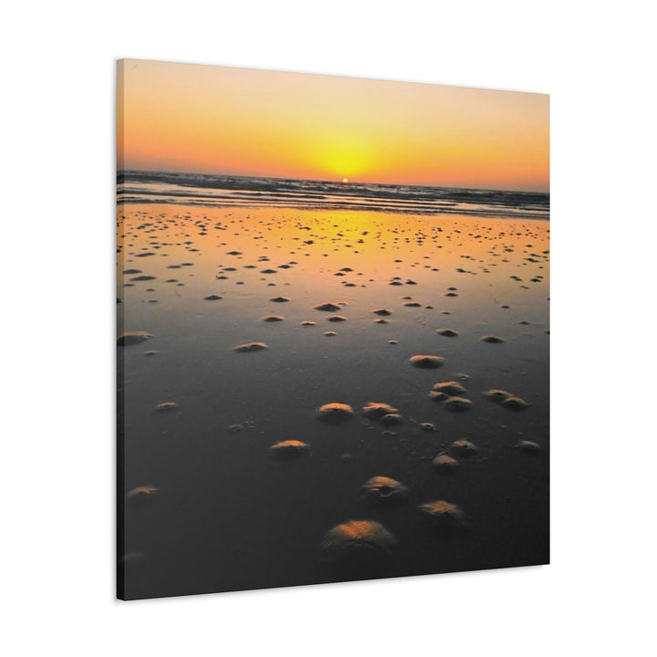 Burrows at Sunrise - Canvas