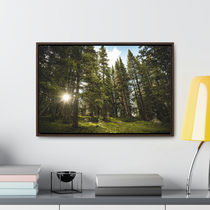 Forest Light - Canvas with Frame