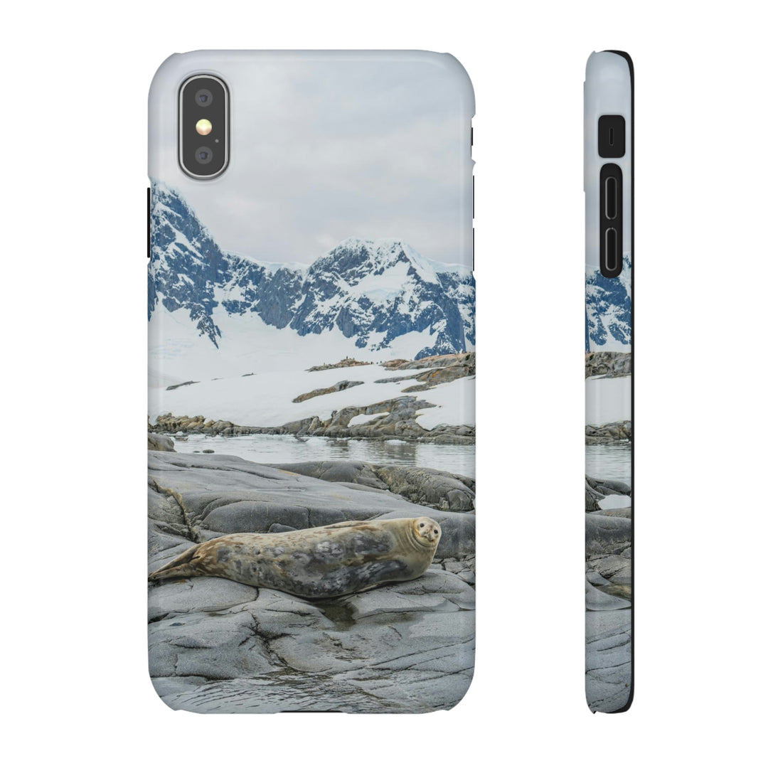 Weddell Relaxing - Phone Case