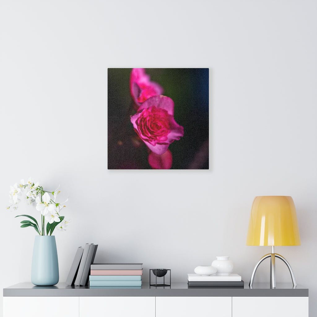 Hybrid Tea Lily - Canvas