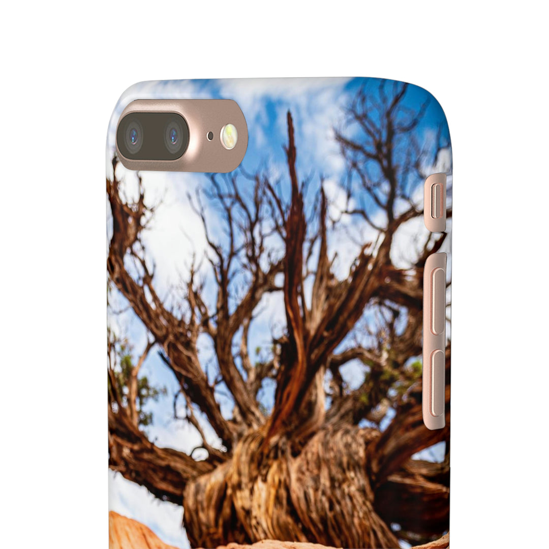 Desert Reach - Phone Case