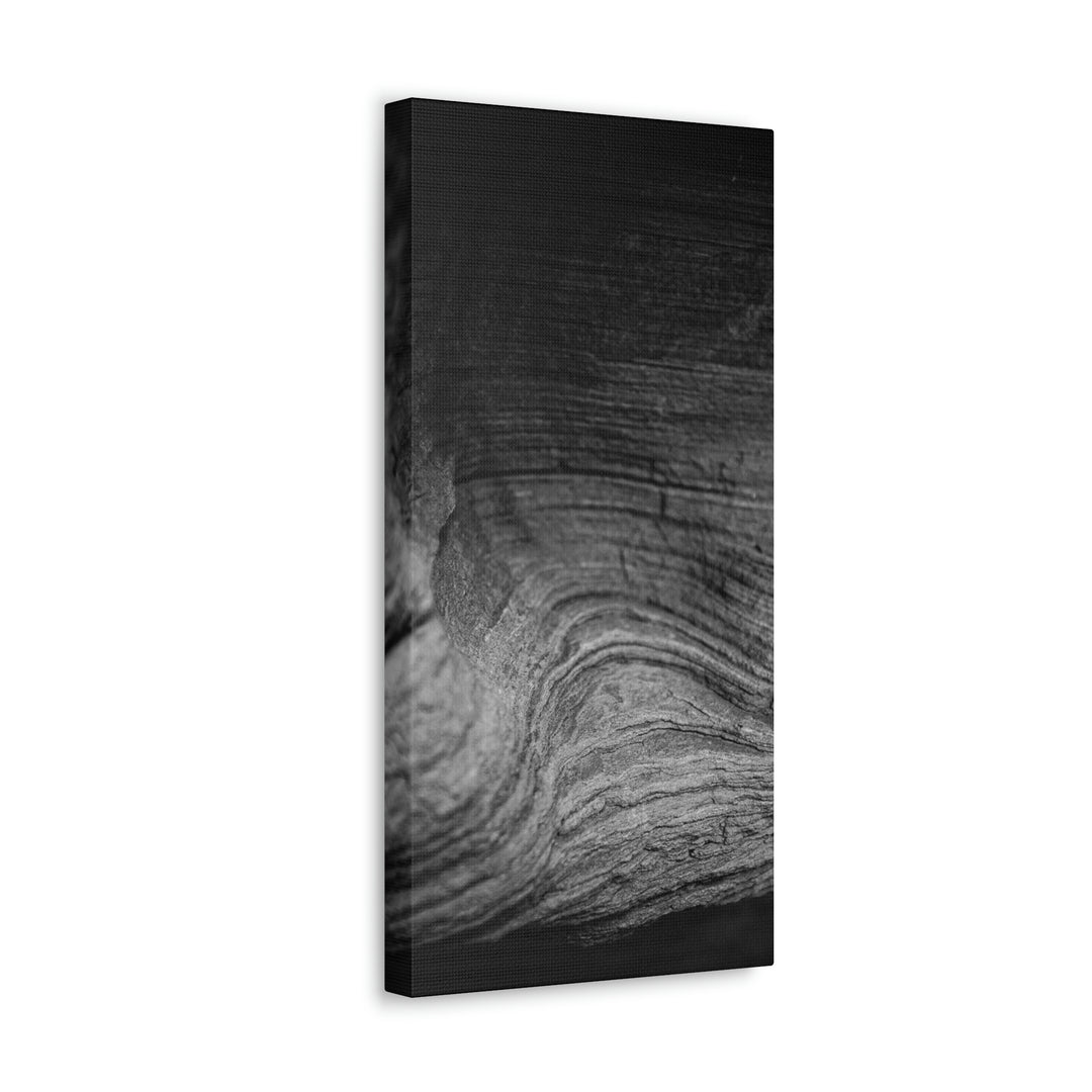 Sedimentary Rock Curves in Black and White - Canvas