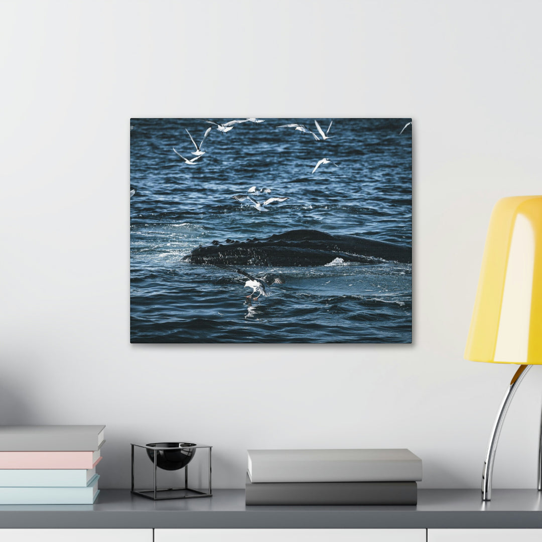 Humpback Hello - Canvas