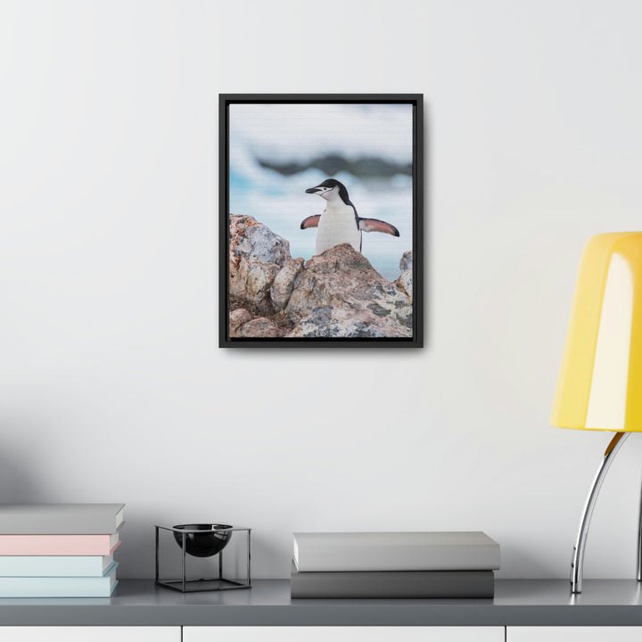 Stretched Penguin - Canvas with Frame