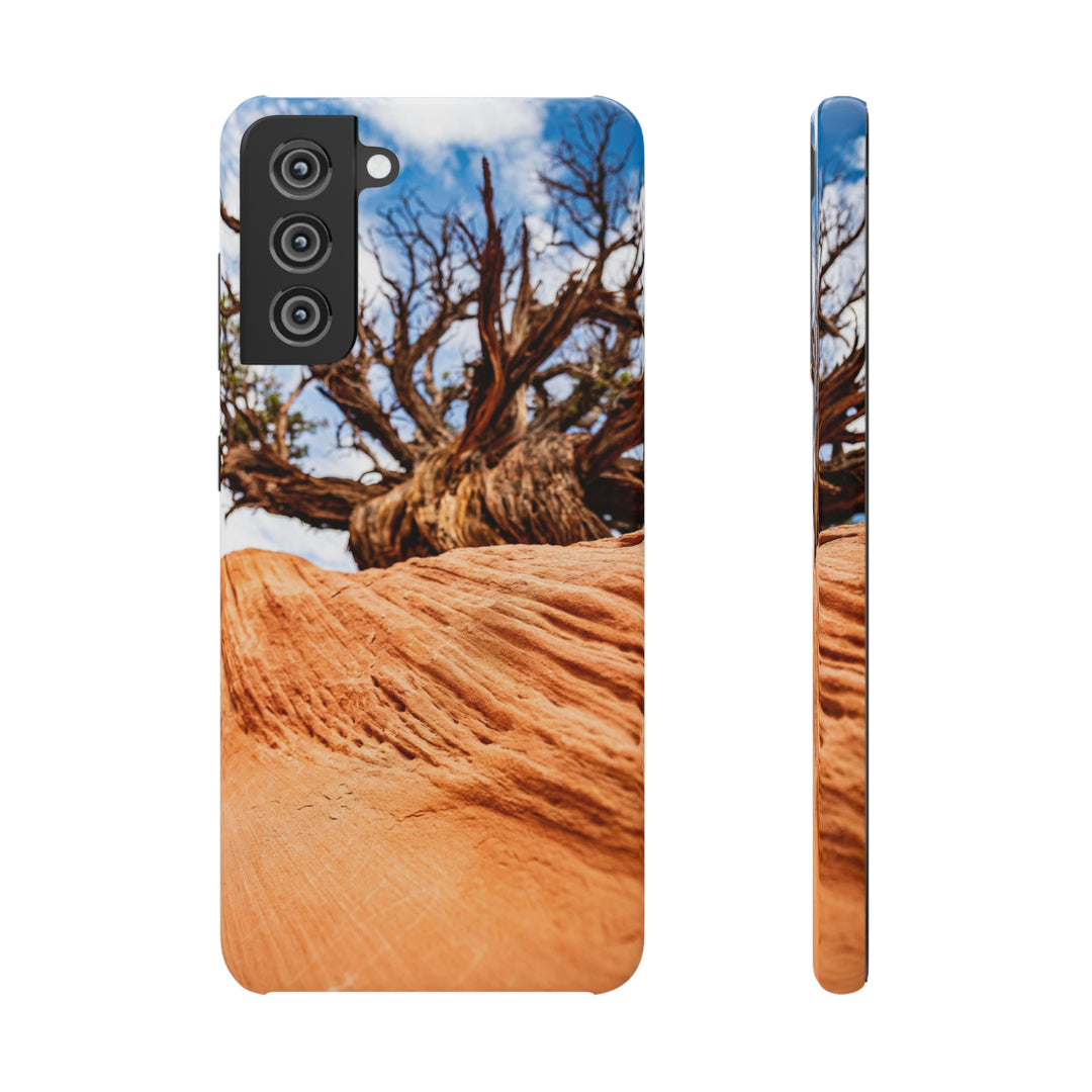 Desert Reach - Phone Case