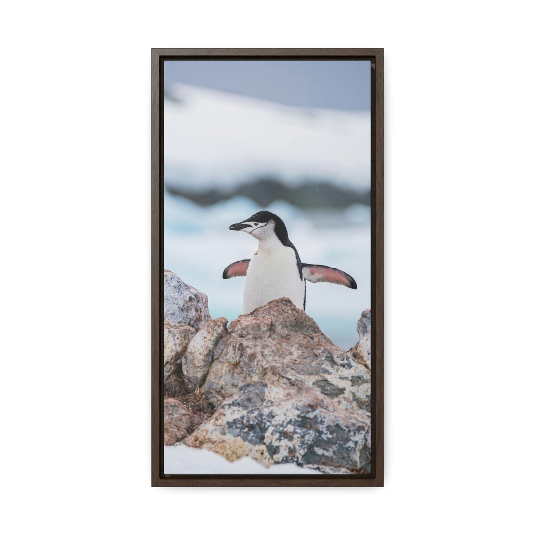 Stretched Penguin - Canvas with Frame