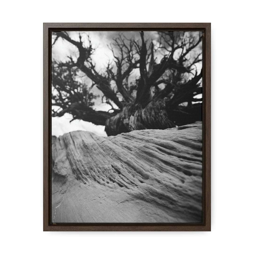 Desert Reach in Black and White - Canvas with Frame