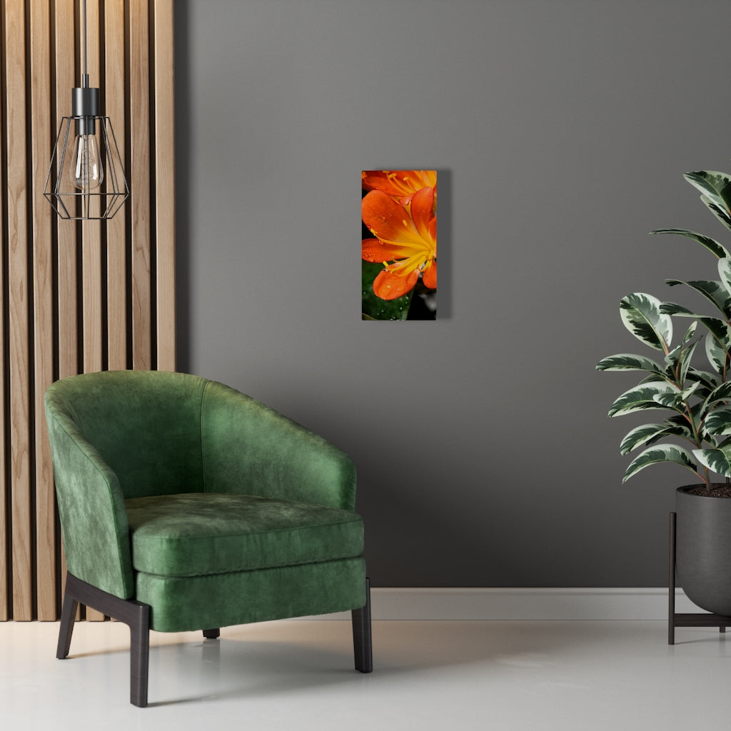 Bright Bush Lily - Canvas