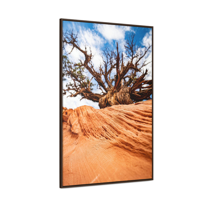 Desert Reach - Canvas with Frame