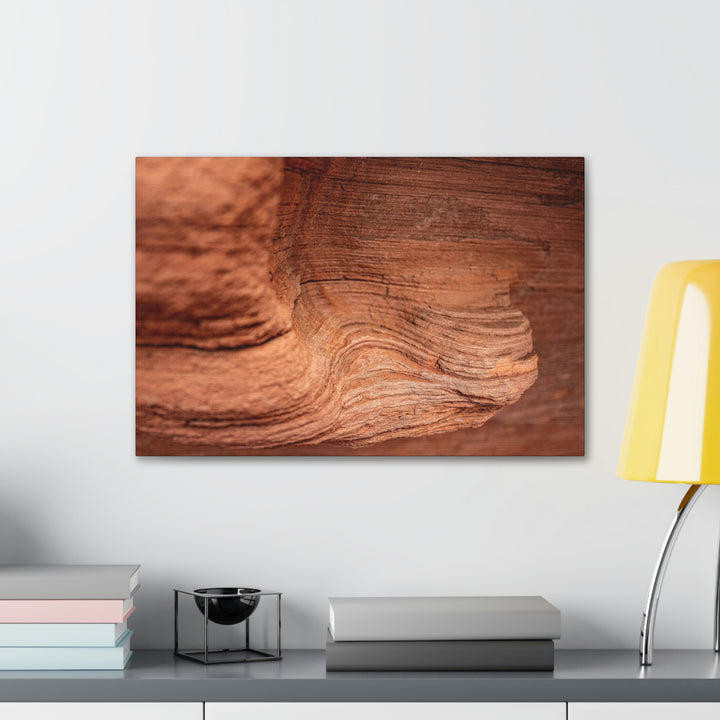 Sedimentary Rock Curves - Canvas