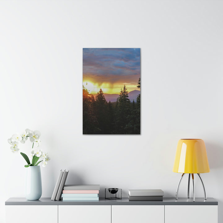 Rainy Sunset Through the Trees - Canvas