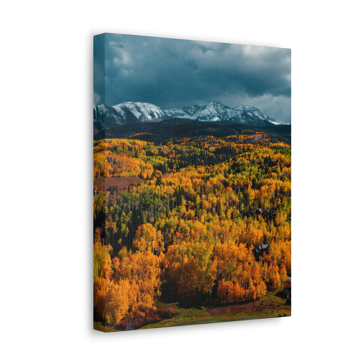 Golds of Autumn - Canvas