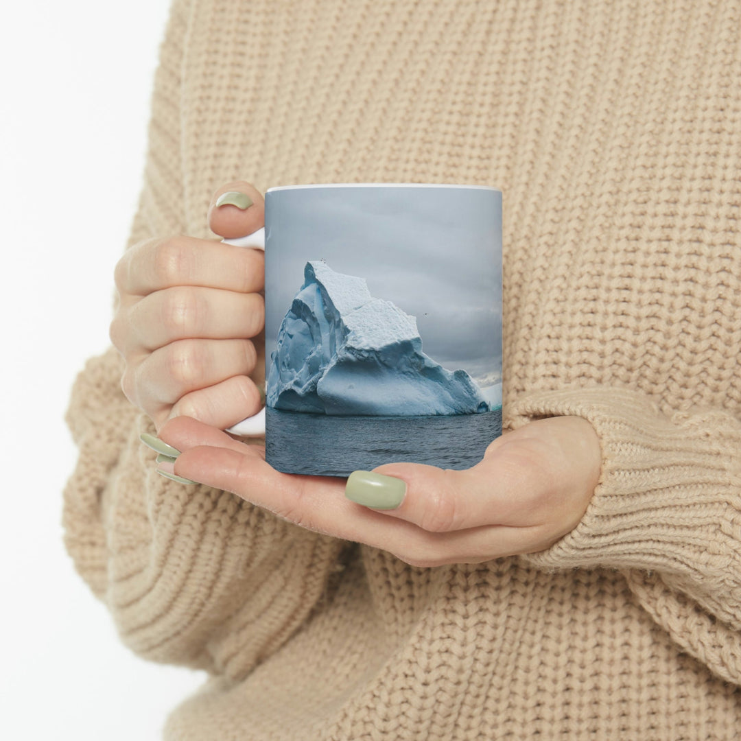 Antarctic Flight - Ceramic Mug 11oz - Visiting This World