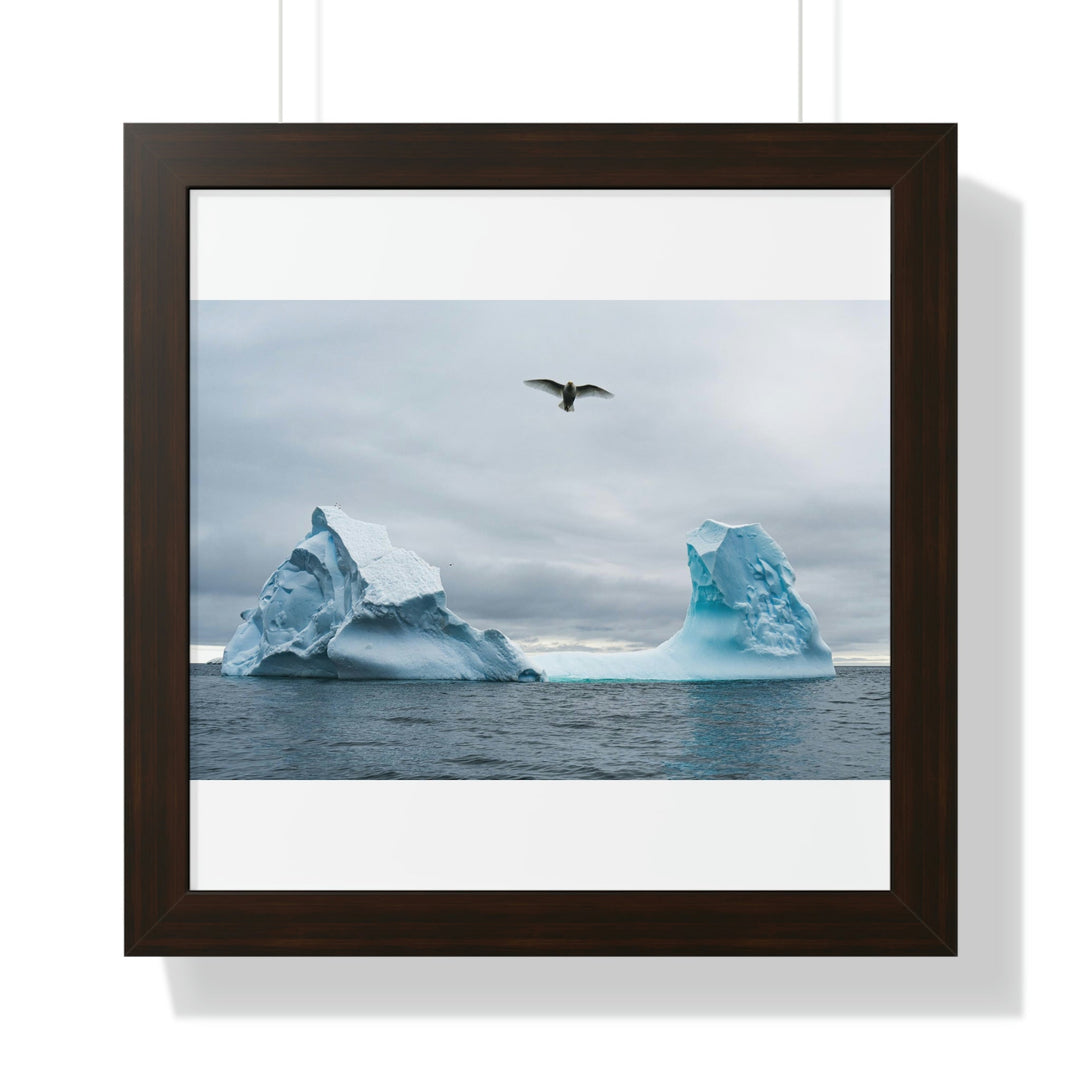 Antarctic Flight - Framed Print - Visiting This World