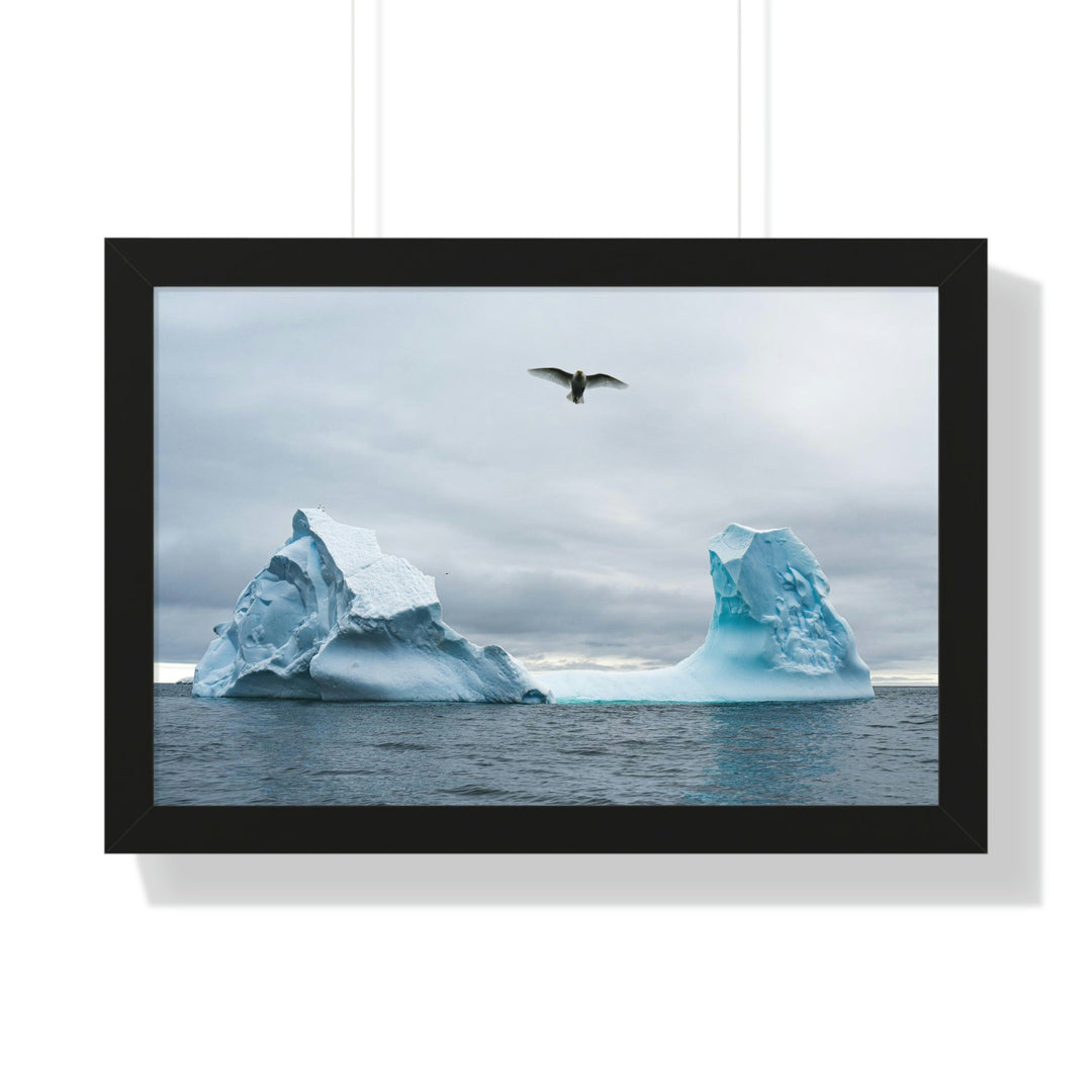 Antarctic Flight - Framed Print - Visiting This World