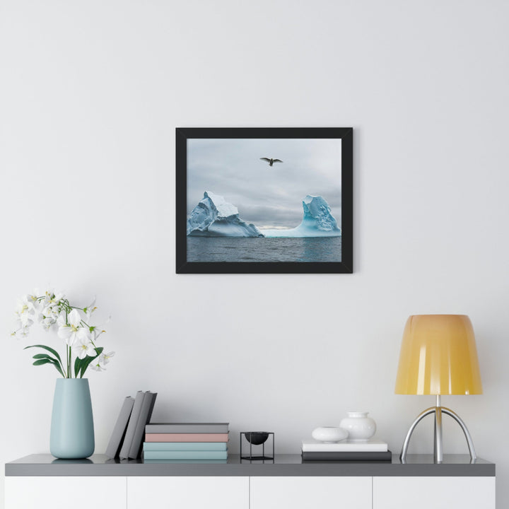 Antarctic Flight - Framed Print - Visiting This World