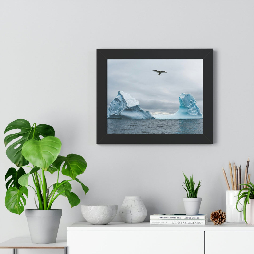 Antarctic Flight - Framed Print - Visiting This World