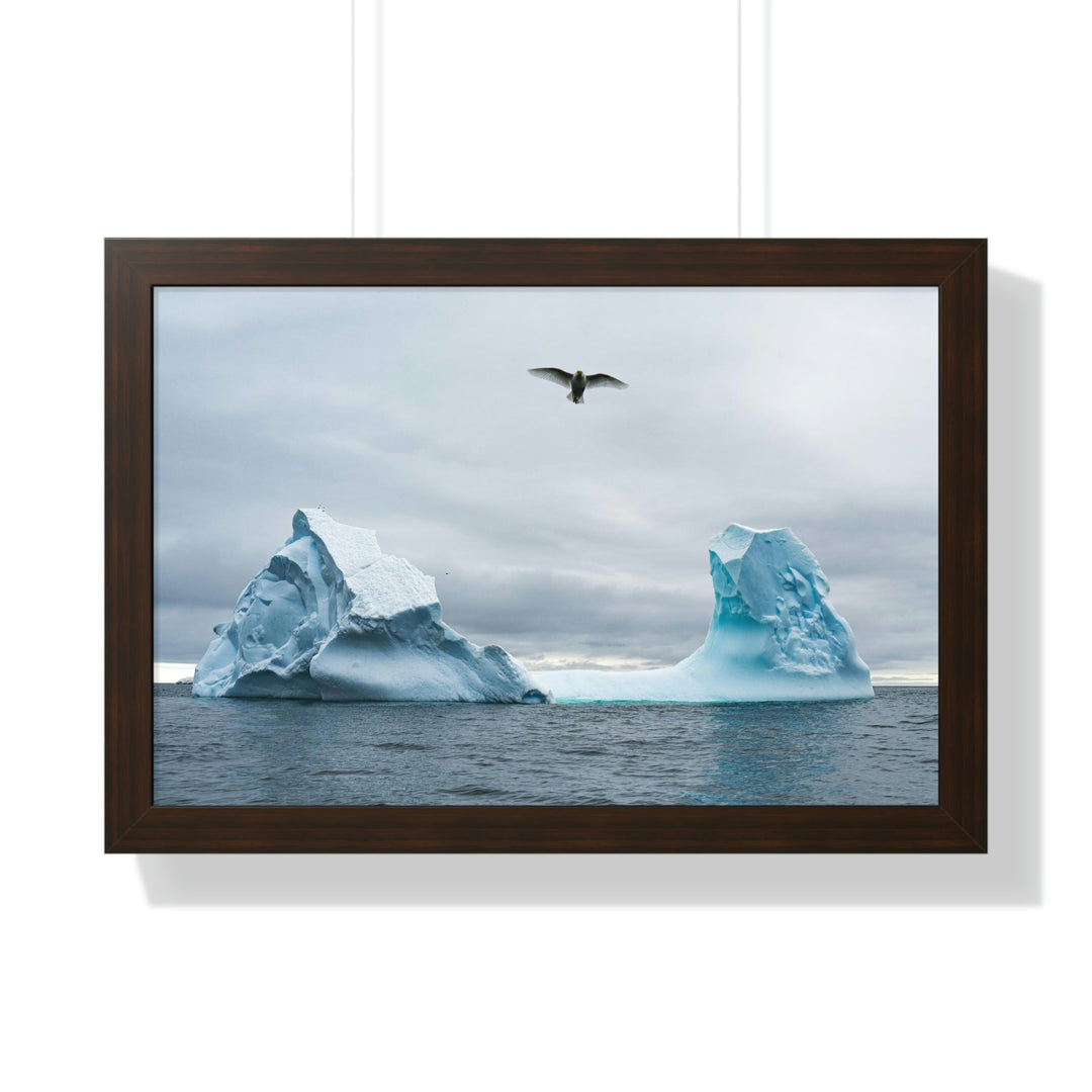 Antarctic Flight - Framed Print - Visiting This World