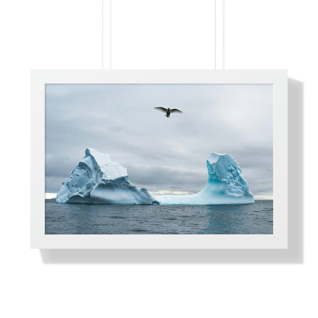 Antarctic Flight - Framed Print - Visiting This World