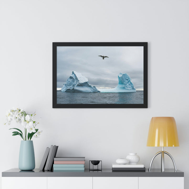 Antarctic Flight - Framed Print - Visiting This World