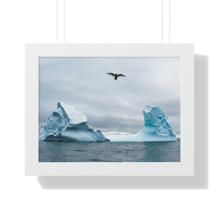 Antarctic Flight - Framed Print - Visiting This World