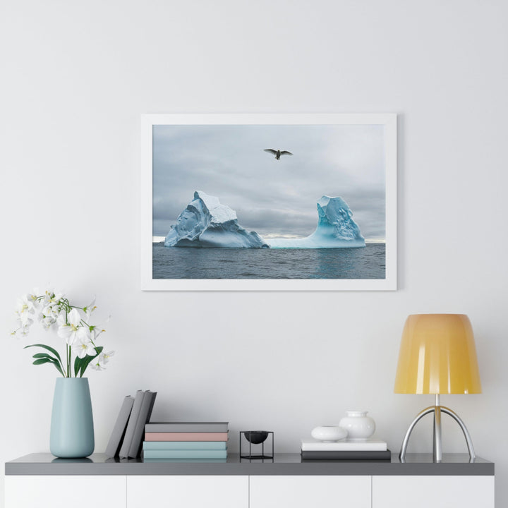 Antarctic Flight - Framed Print - Visiting This World