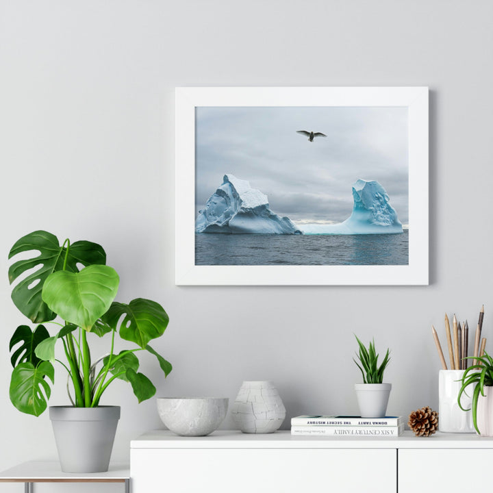 Antarctic Flight - Framed Print - Visiting This World