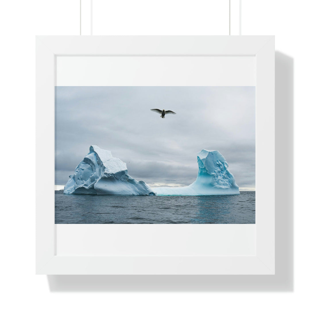 Antarctic Flight - Framed Print - Visiting This World