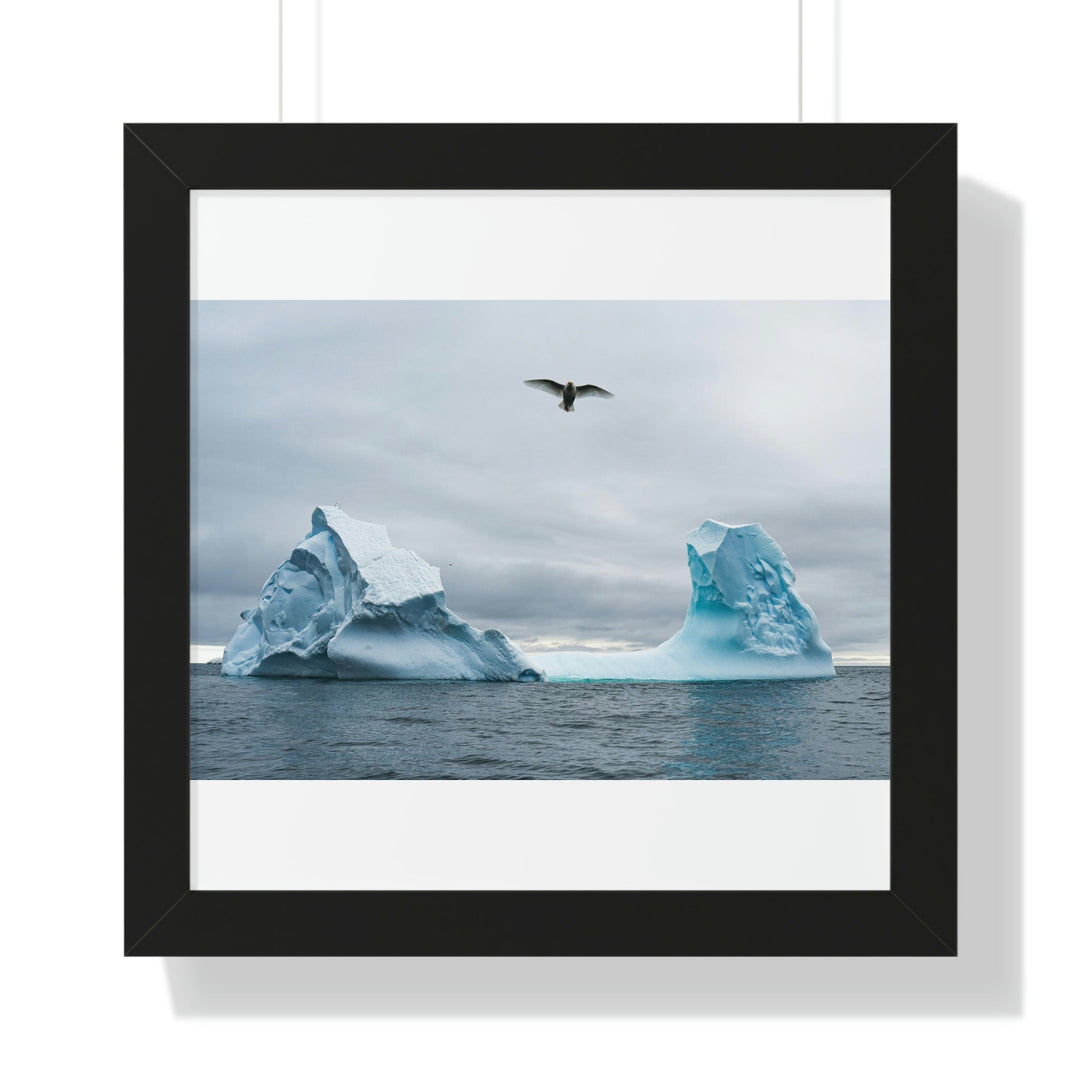 Antarctic Flight - Framed Print - Visiting This World