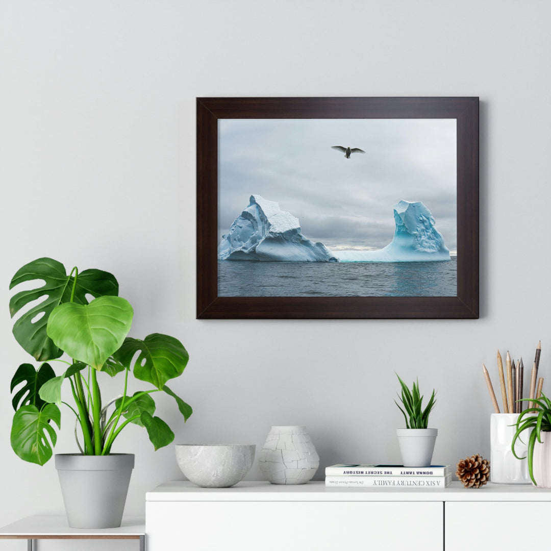 Antarctic Flight - Framed Print - Visiting This World