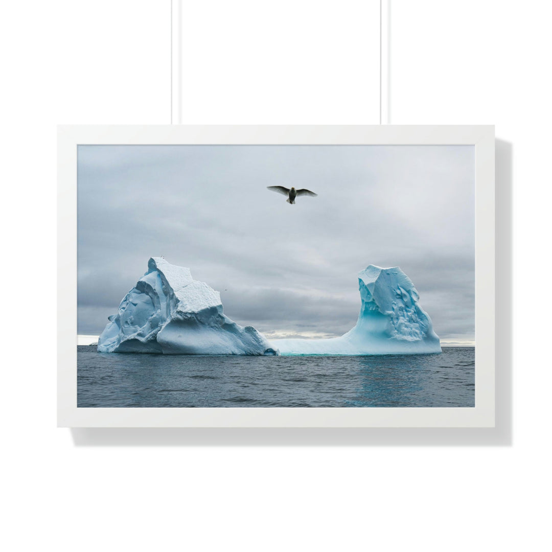 Antarctic Flight - Framed Print - Visiting This World