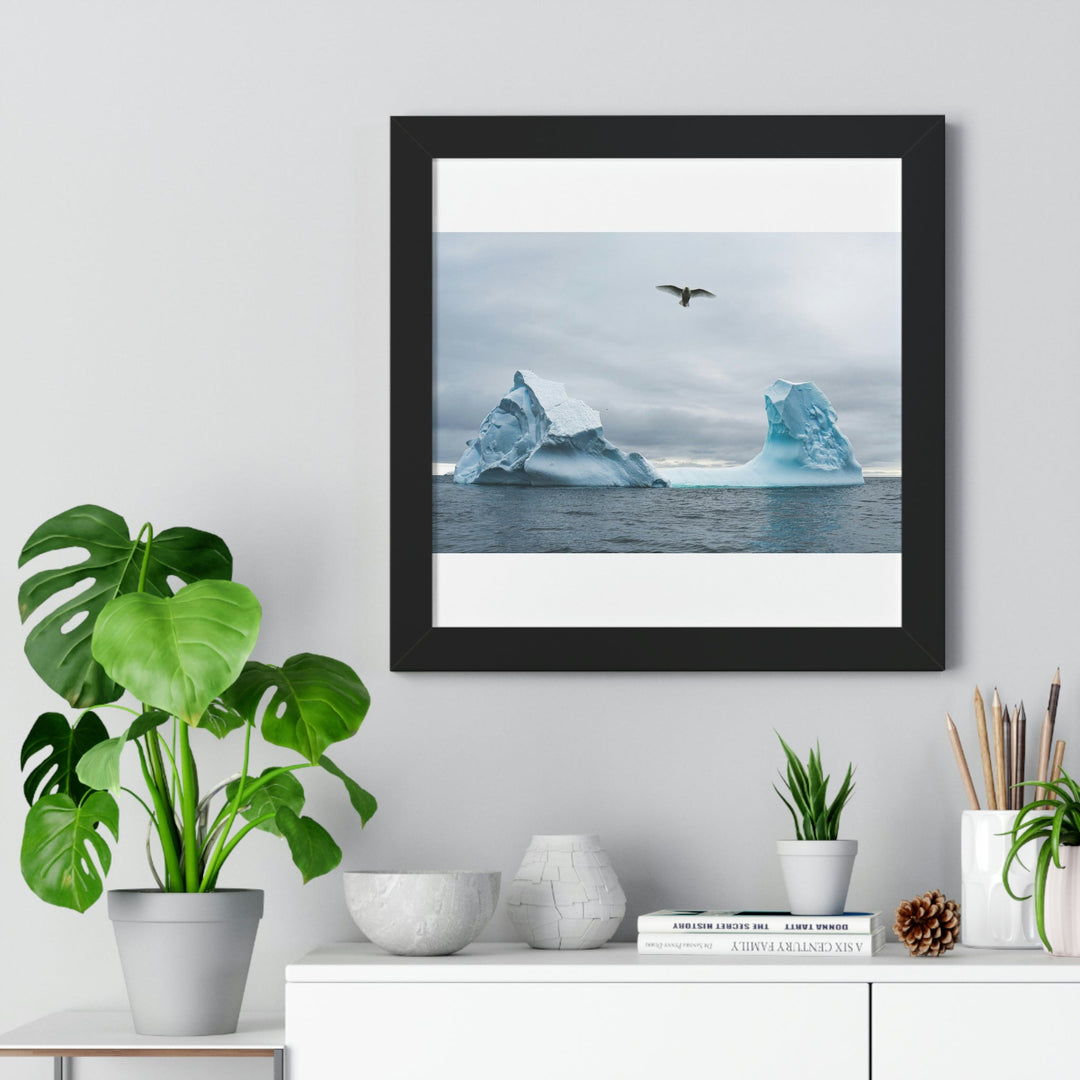 Antarctic Flight - Framed Print - Visiting This World