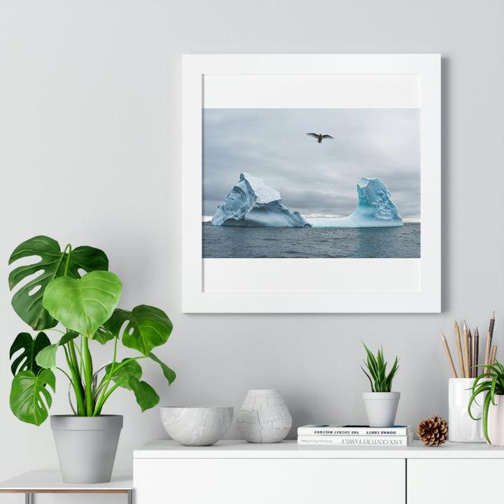 Antarctic Flight - Framed Print - Visiting This World