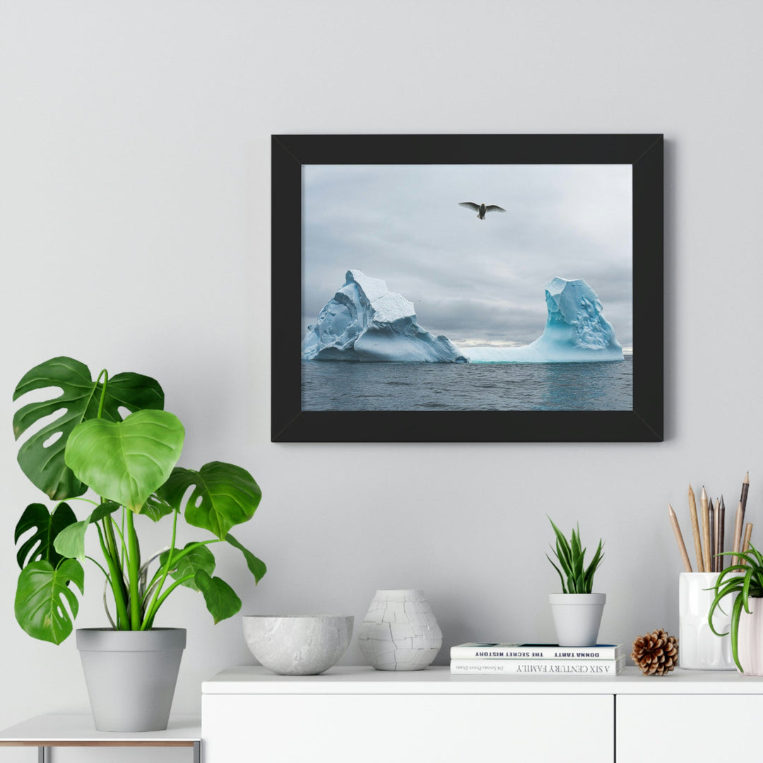 Antarctic Flight - Framed Print - Visiting This World